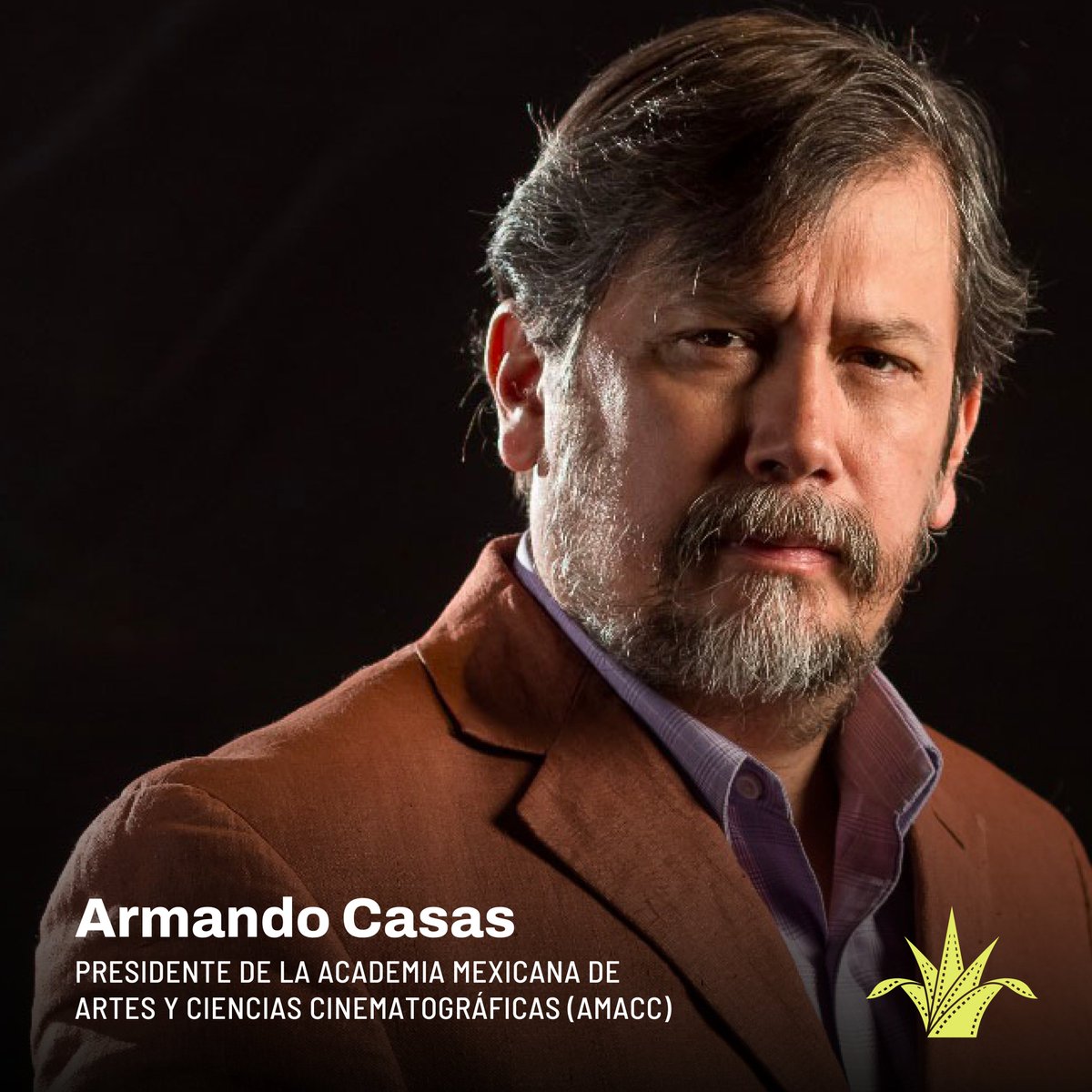 FICGoficial's tweet photo. Celebramos el nombramiento del cineasta Armando Casas como presidente de la Academia Mexicana de Artes y Ciencias Cinematográficas (@AcademiaCineMx) para el periodo 2023-2025, le deseamos una exitosa gestión, ¡enhorabuena! https://t.co/cYDR7GMmoq