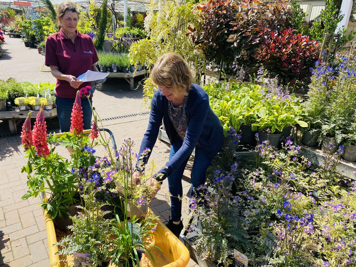 If you'd like your garden to look amazing during the Autumn/Winter, why not try our garden advice service?
Book a one to one slot with us for plant advice and ideas, and you’ll leave with plenty of inspiration and confidence.
More info and to book perrywood.co.uk/garden-advice-…