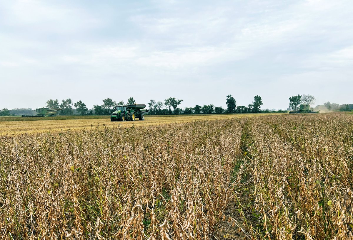 MoorePreciseAg's tweet photo. Near real-time. Technology man. It’s cool sometimes. 😎 #OpsCenter #AgTech @JohnDeere https://t.co/PcmdMY60O5