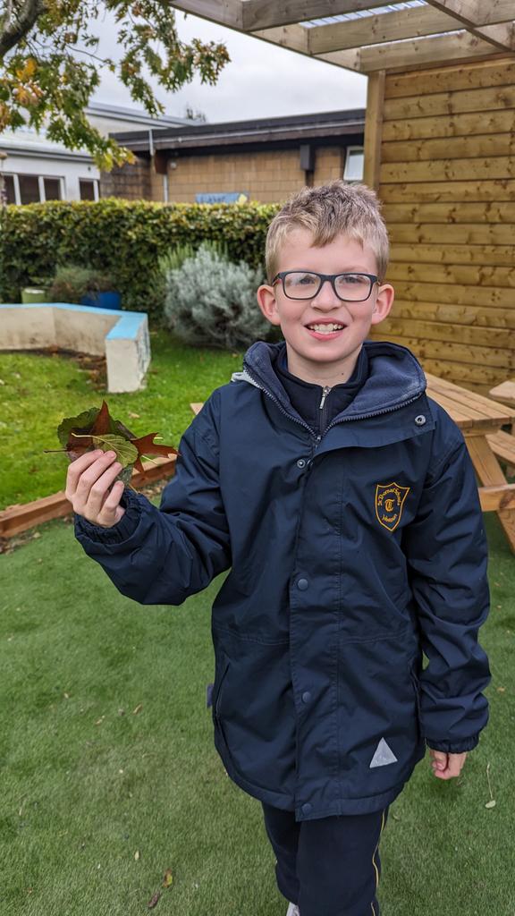 SaintThomasSNS's tweet photo. To celebrate #NationalTreeDay 2023, Mr. Carroll's class went on a nature hunt in our school garden. We also planted a new hazel tree, thanks to @SPARIreland & @3CounciI ! We really hope it entices some new wildlife to visit us 🐿️🌰🌳🌱
#nutsaboutnature
@GreenSchoolsIre https://t.co/09RkSQLi51