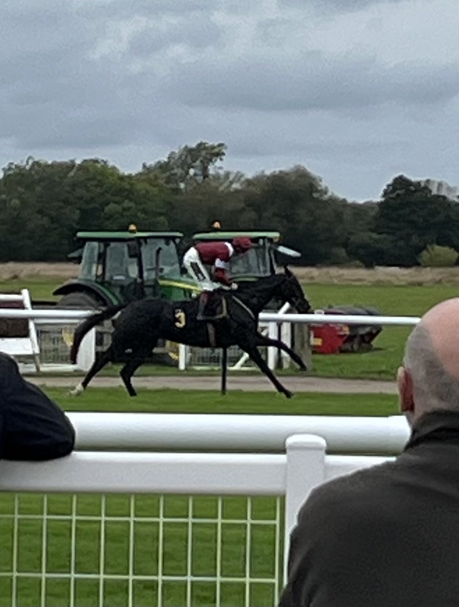 Best turned out horse at the Save Business Rates with Colliers Race at ⁦@WarwickRaces⁩ today. Congratulations to Idalko Bihoue for looking so smart.