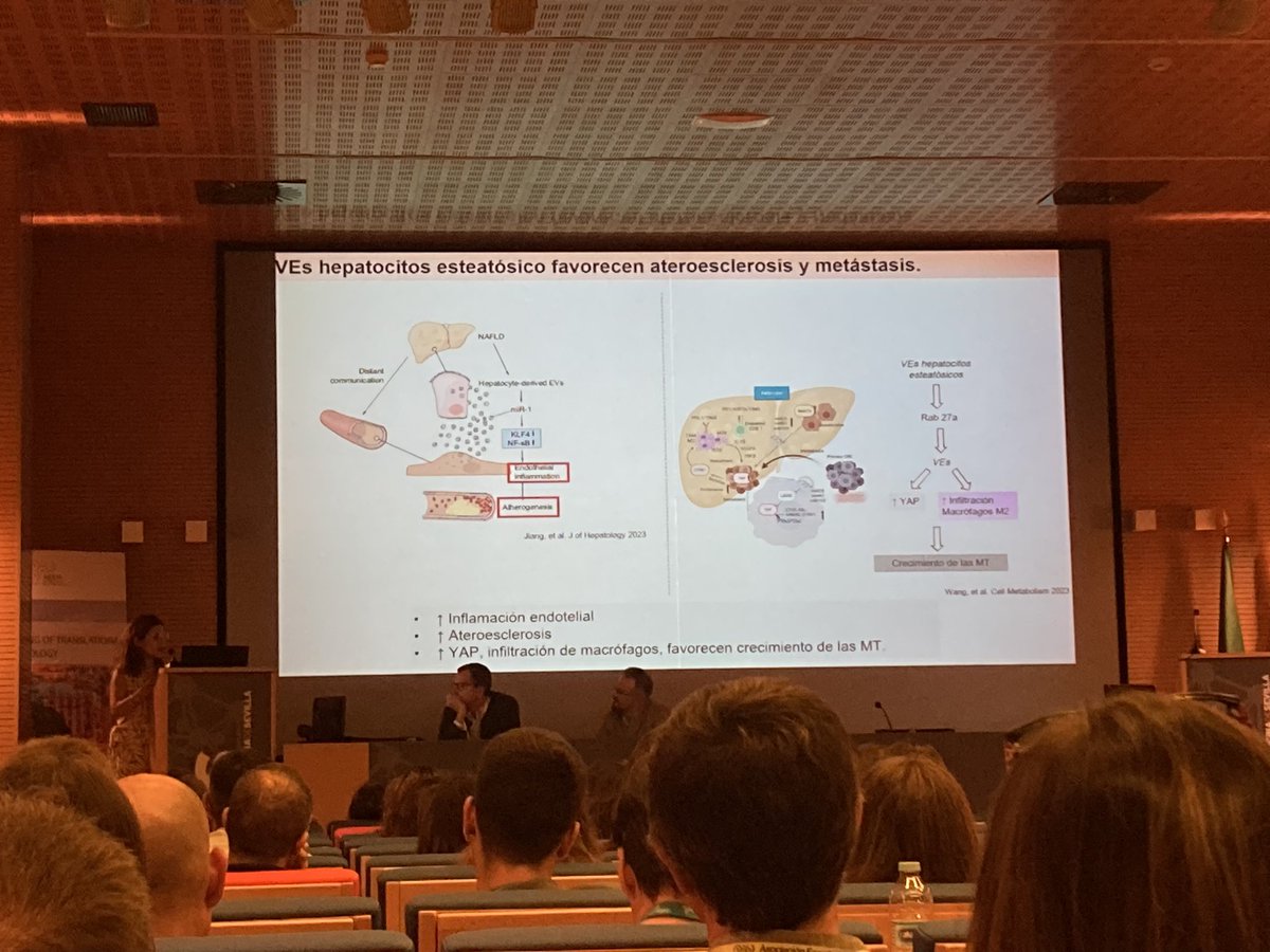 Las vesículas extra celulares: nuevos mensajeros entre el sistema inmune y el hígado 
Excelente presentación @Edilmaralvarado👏🏻

#LiverBench23 

Las VE pueden actuar como oleadas de información entre órganos 
De forma bidireccional ↔️
