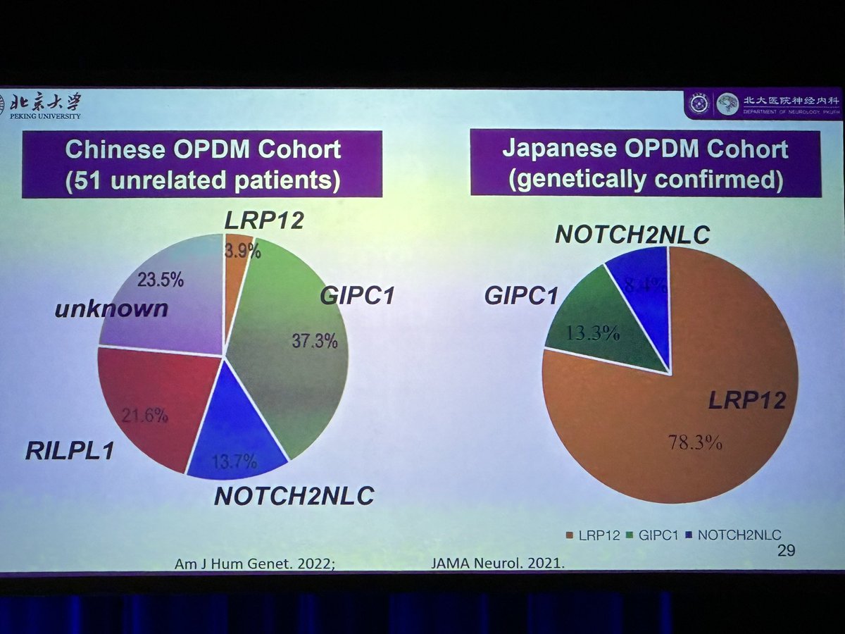 TLiewluck's tweet image. The emerging group of repeat expansion #myopathy #OPDM  by Zhaoxia Wang at #WMS2023 @WorldMuscleSoc.