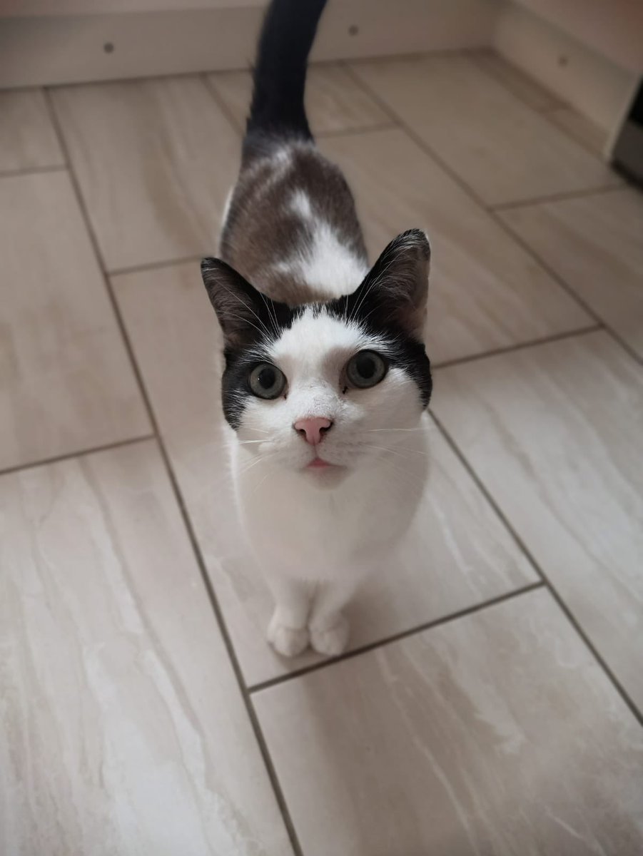 Jane Hamilton tweet media