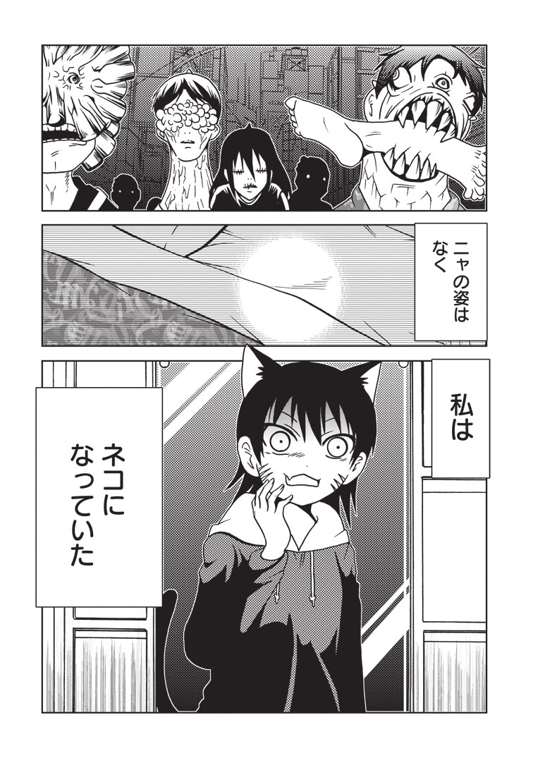(3/3)