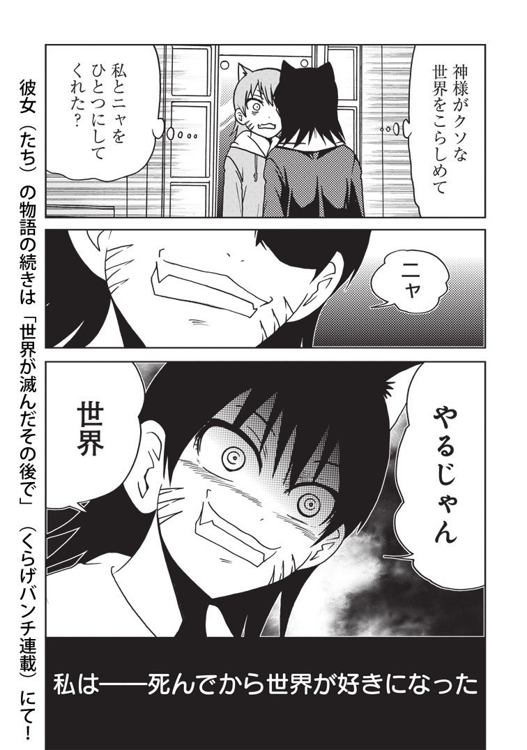 (3/3)