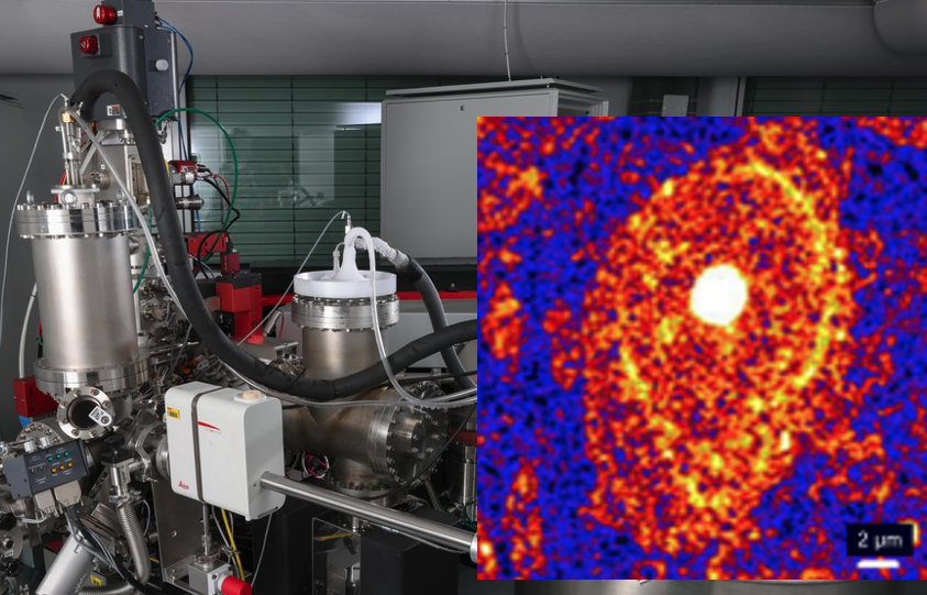 kadzuis's tweet photo. Latest organelle-level mass spec quantitative imaging, this time for Parkinson's disease looking at anabolism and turnover at the subcellular level. Just the beginning https://t.co/dRtrZB1xml https://t.co/Fwn8VJdZjA @NatMetabolism https://t.co/W9BlHfdC2w