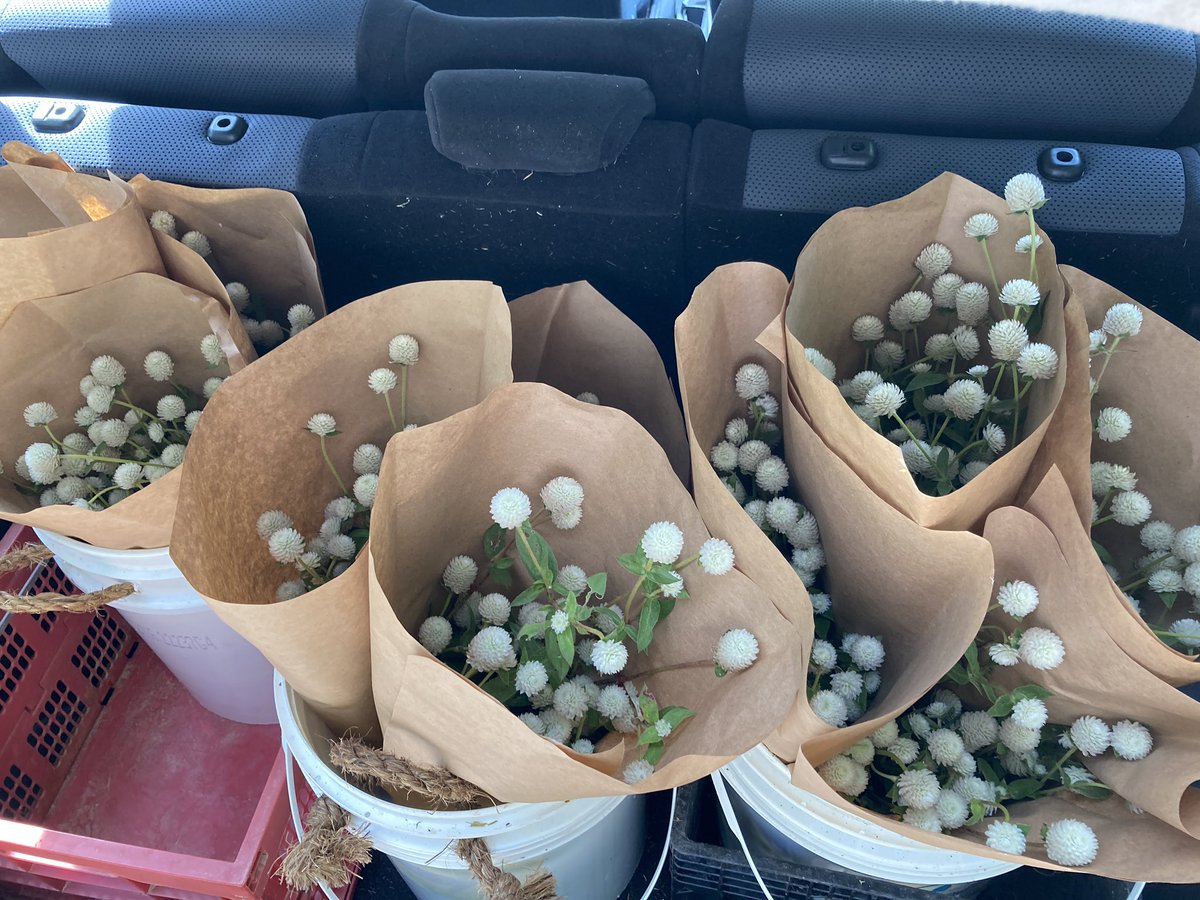 Yonder Farm tweet media