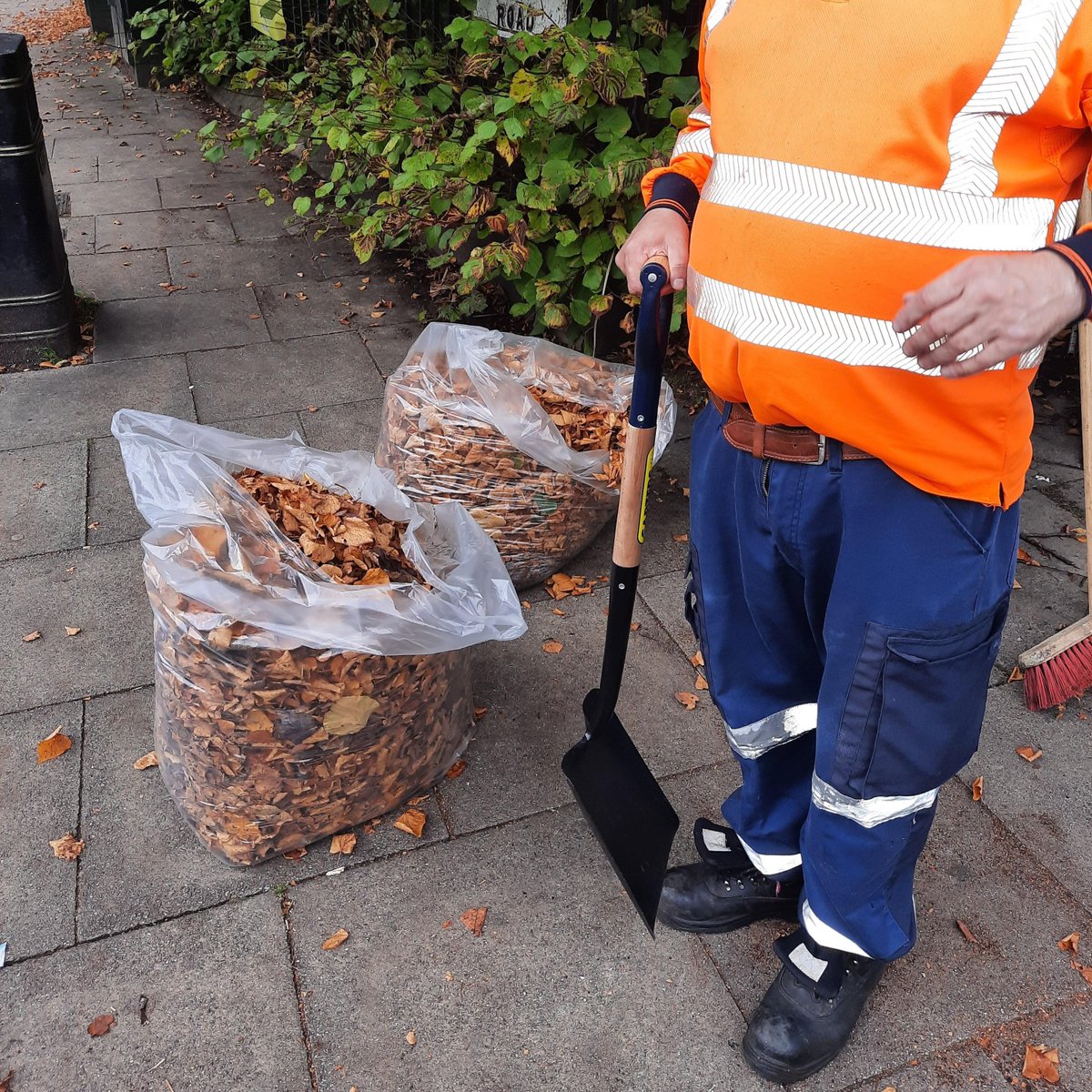 lpool_LSSL's tweet photo. #LeafFall | Out getting an early start on the #LeafFallCollection programme, which will begin &amp; be in operation from Oct 16th
In previous years #StreetCleansing &amp; #Greenspaces colleagues have collected approx. 1500 tonnes of leaves over autumn &amp; winter
Would you be-leaf it?! 🍂 https://t.co/lFCaMoYH8c