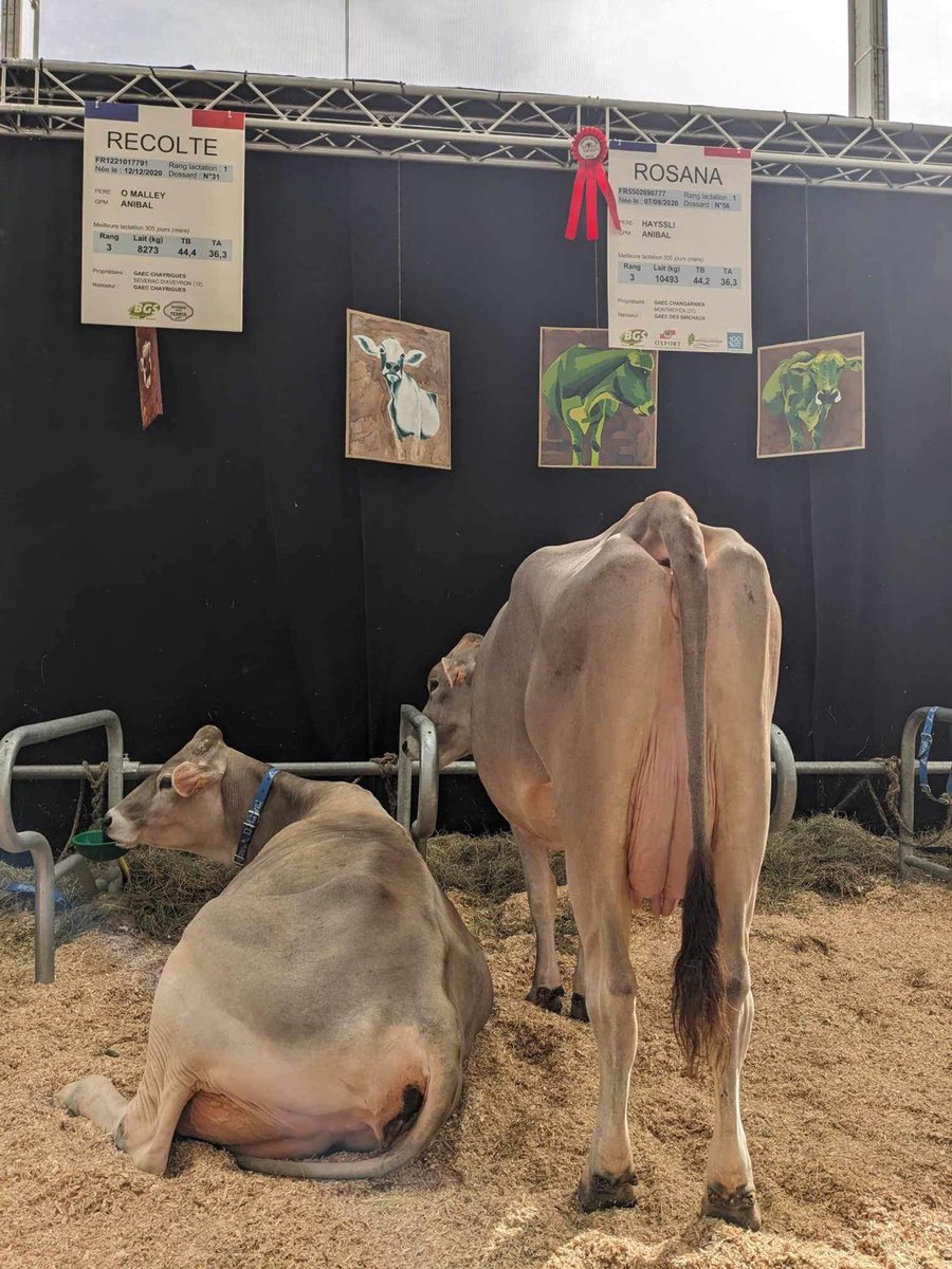 Cultivar élevage tweet media