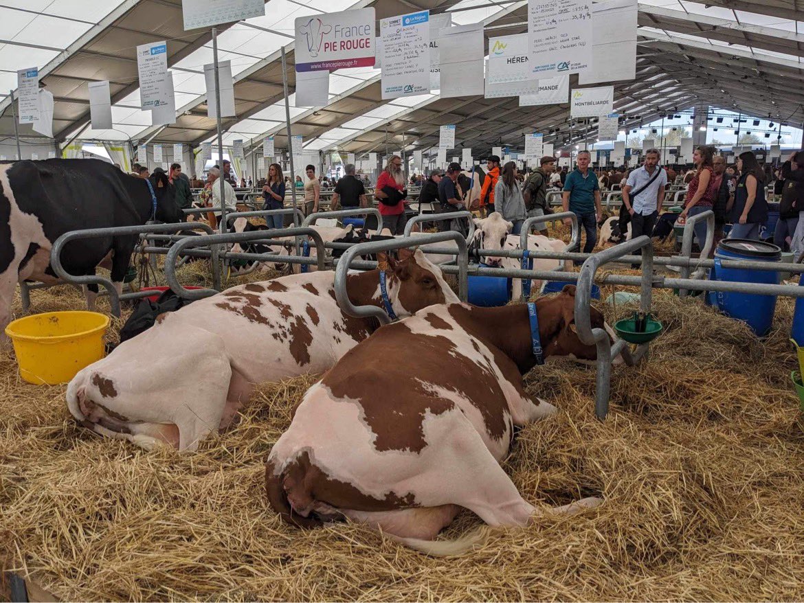 Cultivar élevage tweet media