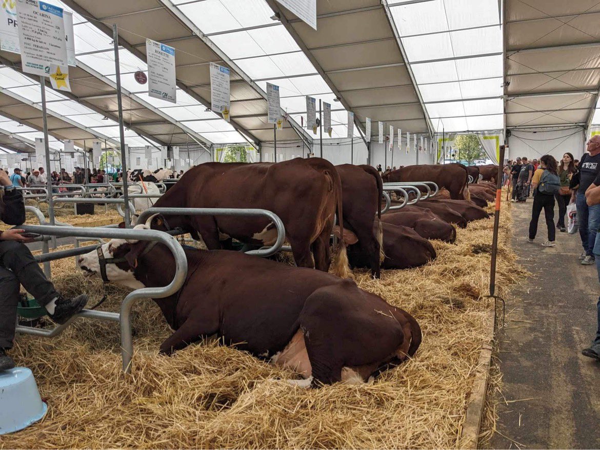 Cultivar élevage tweet media