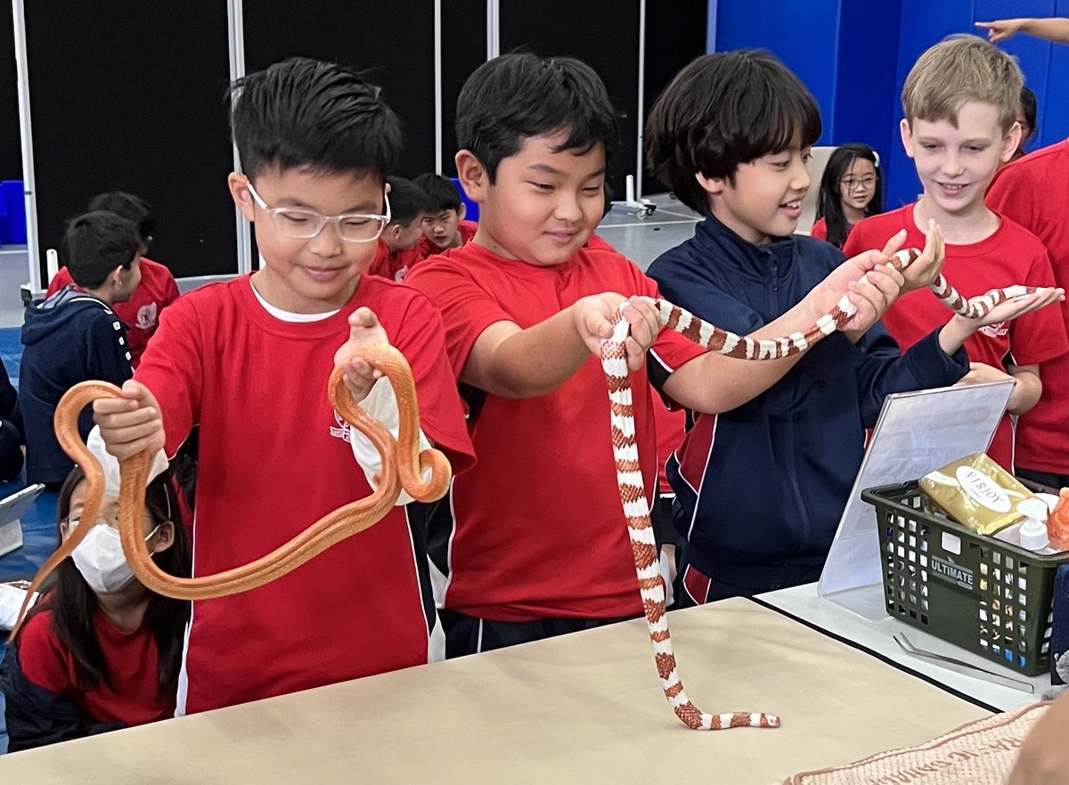 Anita Simpson tweet media