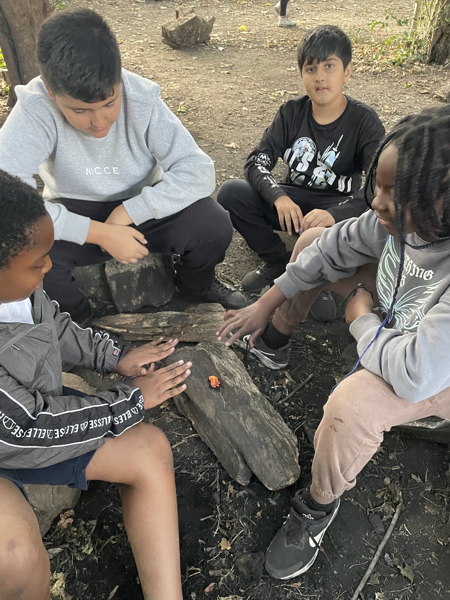 DrewPrimary's tweet image. Fire starting survival skills! #TeamDrew