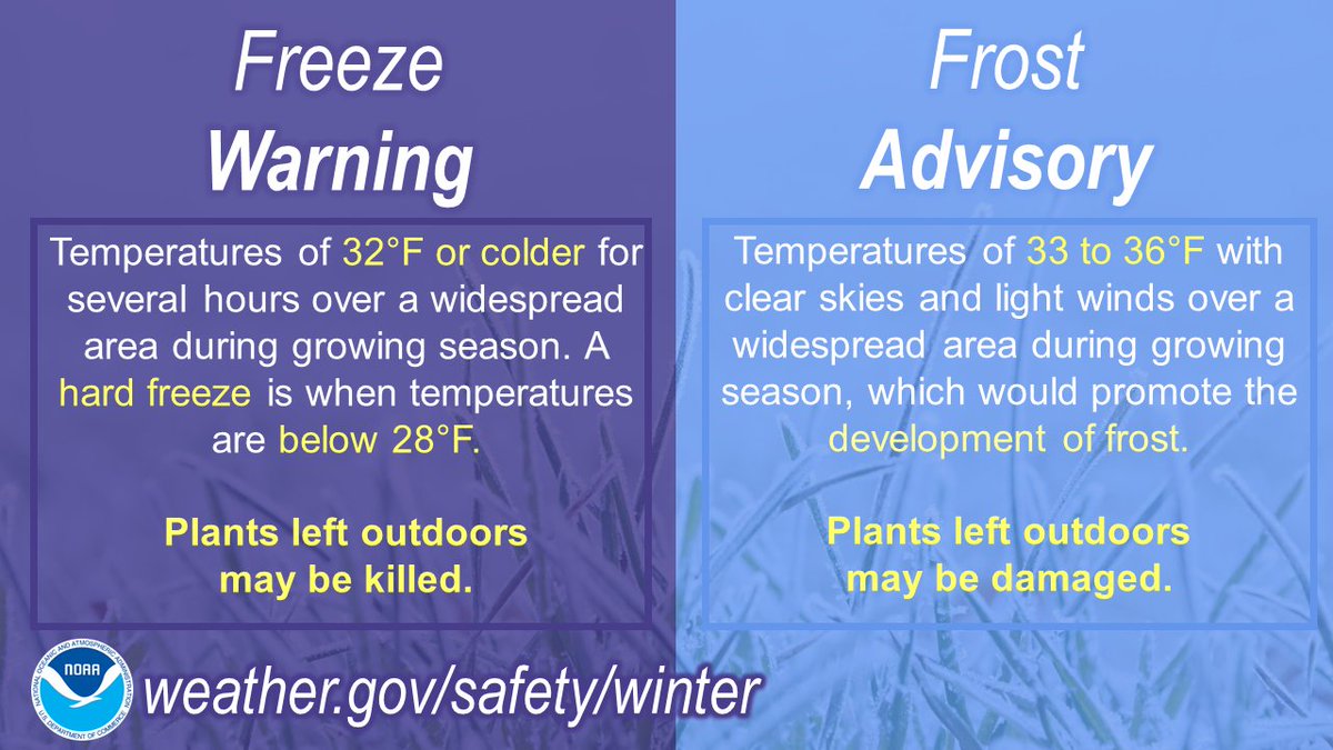 What's the difference between a frost advisory, freeze warning