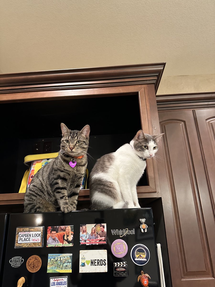 we expecting food. like right now. give