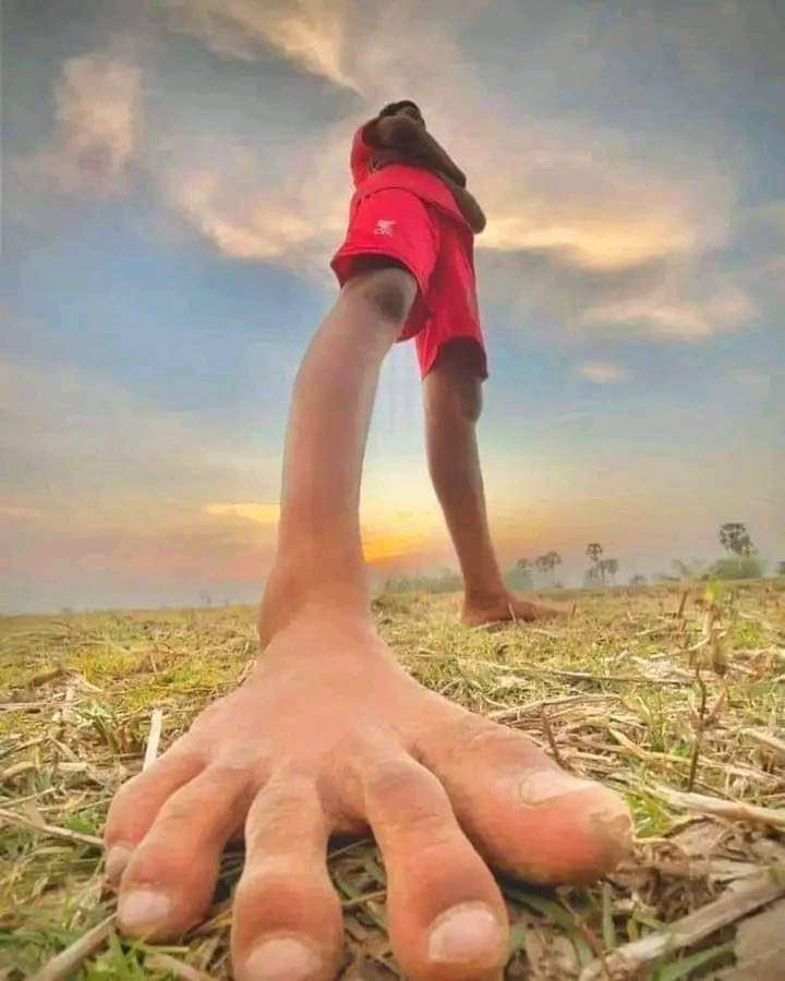 ptd.eth☯️ (0 to hero arc) tweet media