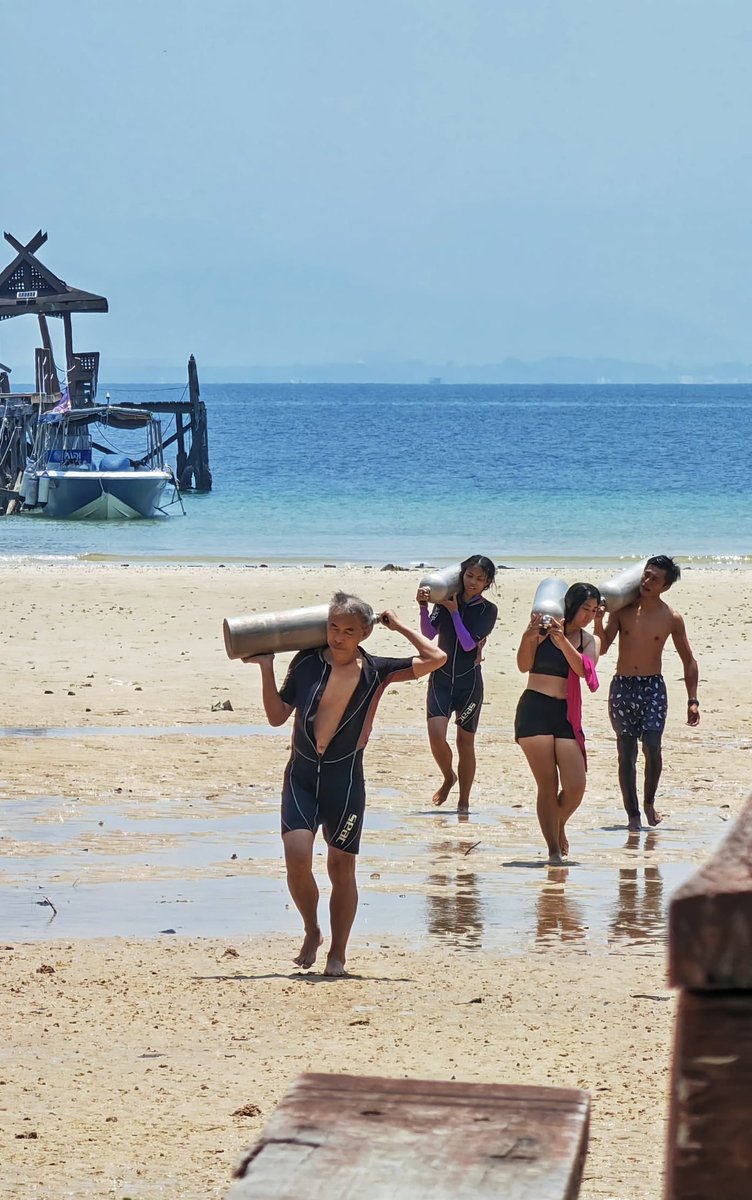 divedownbelow's tweet image. Our next #instructordevelopmentcourse begins 18 November so #livethedream guys &amp;amp; become a #padi #diveinstructor #idc #kotakinabalu #downbelowdivecenter #padicdc WhatsApp 0128661935