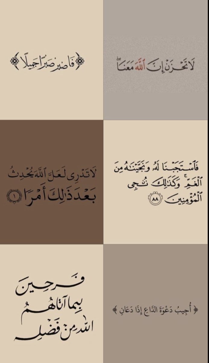 n5f's tweet photo. وَاللَّهُ عَزِيزٌ حَكِيمٌ https://t.co/5Ki8BGB8Yc