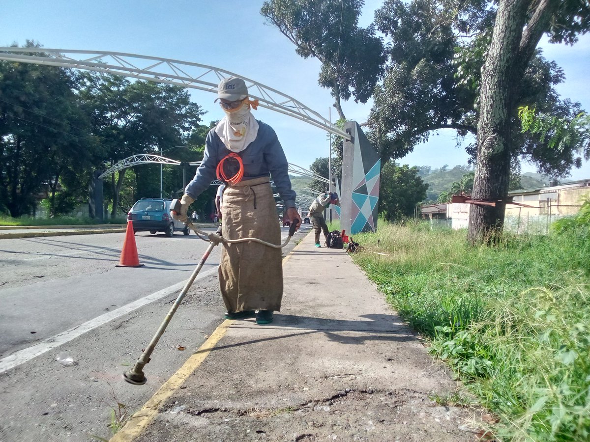 Instit12Febrero's tweet photo. #04Oct #AlMomento  cuadrillas del @Instit12Febrero  se encuentra realizando trabajos de mantenimiento de áreas verdes en la Av. Negra Matea del Municipio José Félix Ribas.
#GobernamosParaServir https://t.co/ZmvIfBm1gk