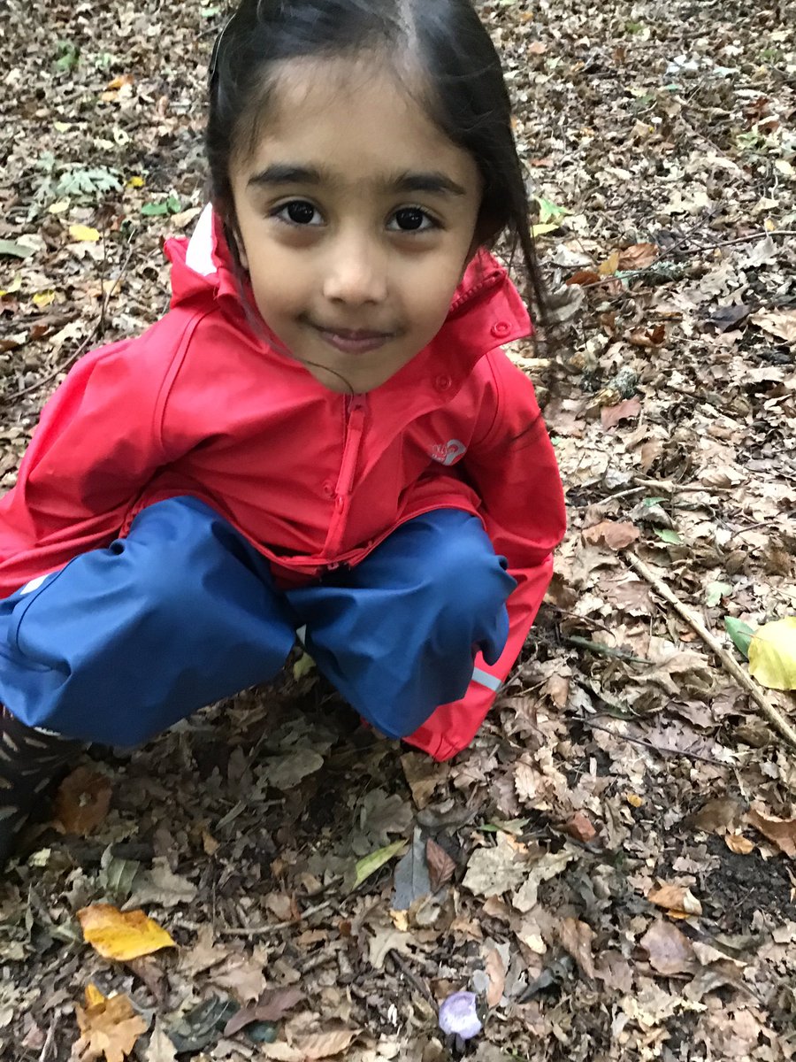 PipersForestSch's tweet image. Year 2 @PipersPrePrep worked together to build a big shelter. We even found a purple mushroom #ukfungus #funoutdoors #forestschool