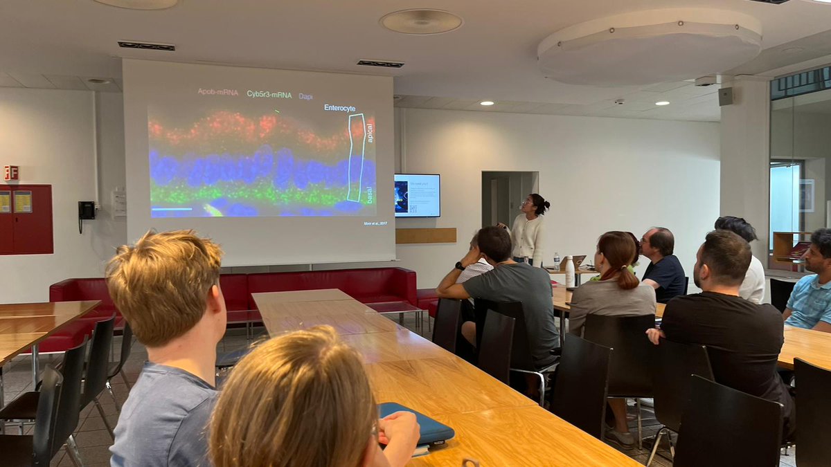 MinkyoungLee1's tweet image. Happy to make the departmental seminar at @ETH_BSSE about #RNAlocalization in #gut epithelium - one of @moorlab projects 👩‍🔬👨‍🔬