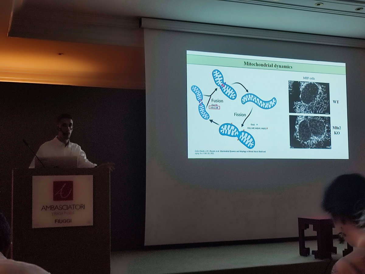 Hernández-Alvarez LAB (@mha_laboratory) on Twitter photo So proud of <a href="/raulventura99/">Raúl Ventura Sánchez</a> for presenting our latest results at The Inter-organelle contacs biology meeting EMBO conference in Fiuggi 2023. Well donde Raúl!!!👏👏👏👏 #interorganellecontactsbiologyEMBO <a href="/BQBiomedMolUB/">Biochemistry & Molecular Biomedicine UB</a> <a href="/BiologiaUB/">Facultat de Biologia UB</a> <a href="/IBUB_UB/">IBUB-UB</a> <a href="/Maribel_h_a/">Maribel Hernandez Alvarez</a> So proud of <a href="/raulventura99/">Raúl Ventura Sánchez</a> for presenting our latest results at The Inter-organelle contacs biology meeting EMBO conference in Fiuggi 2023. Well donde Raúl!!!👏👏👏👏 #interorganellecontactsbiologyEMBO <a href="/BQBiomedMolUB/">Biochemistry & Molecular Biomedicine UB</a> <a href="/BiologiaUB/">Facultat de Biologia UB</a> <a href="/IBUB_UB/">IBUB-UB</a> <a href="/Maribel_h_a/">Maribel Hernandez Alvarez</a>