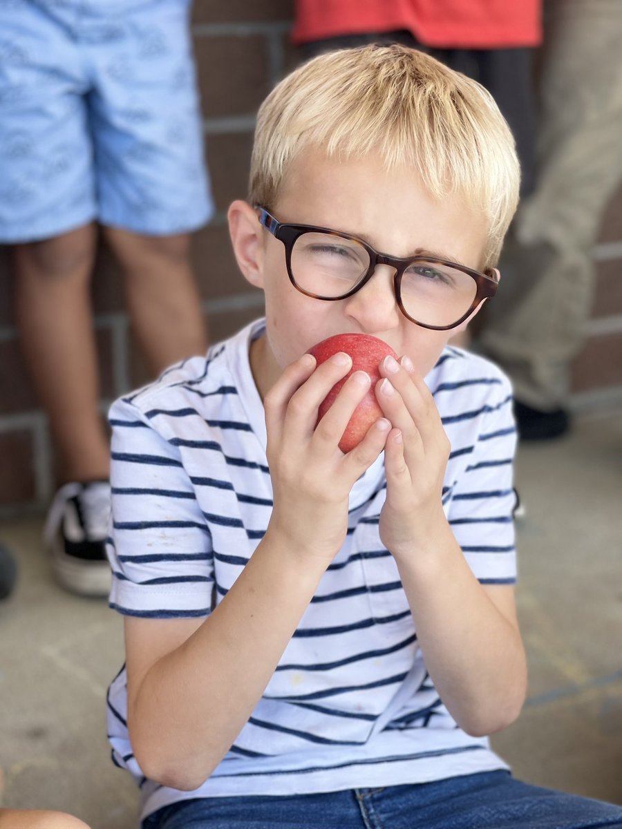 Danielle Minehan tweet media