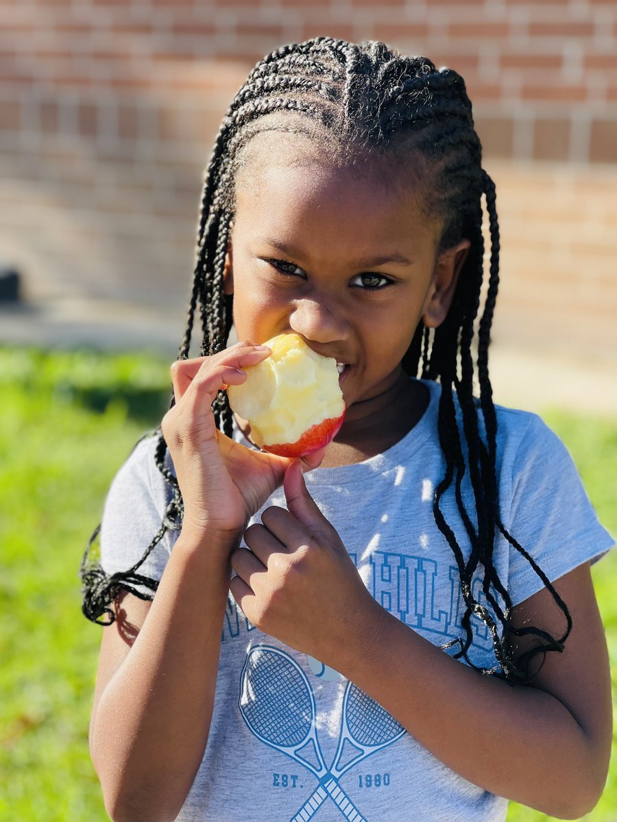 Danielle Minehan tweet media