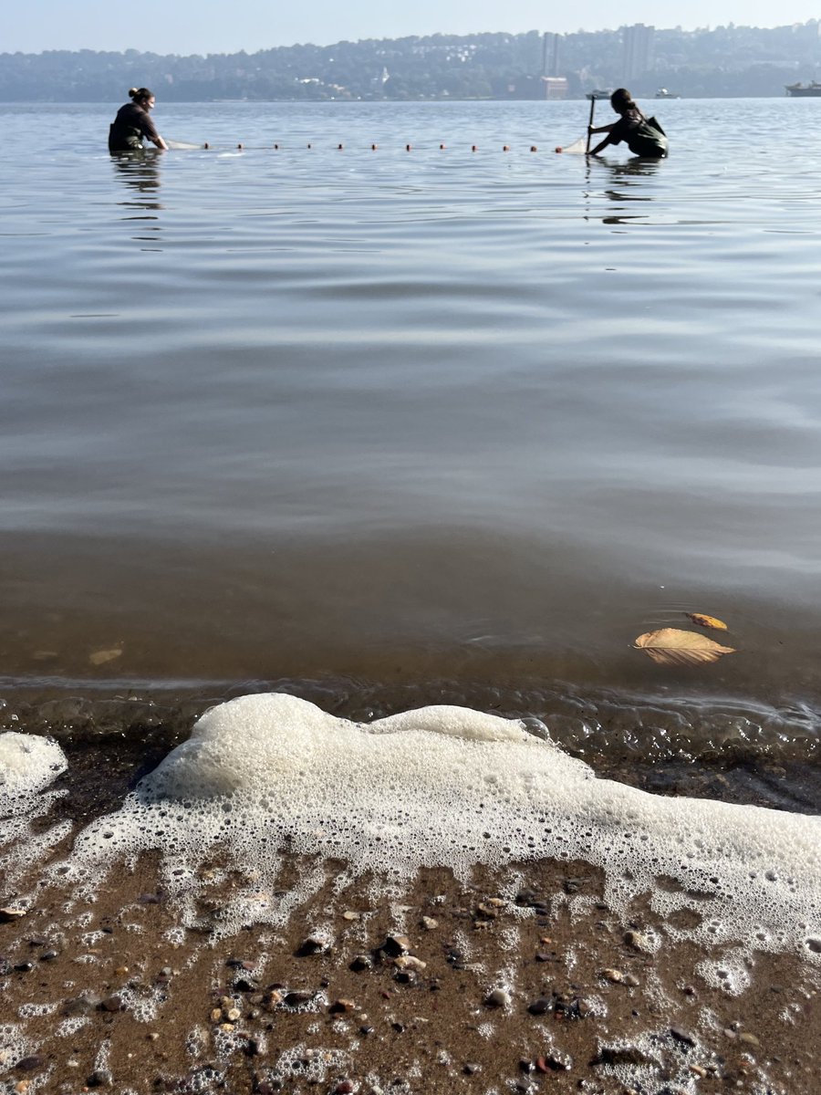 A day seining the Hudson River