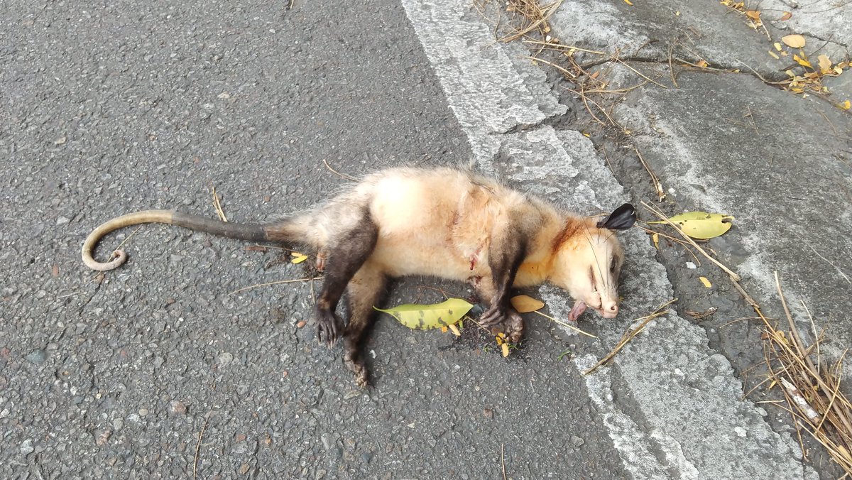 Qué bueno poder aprovechar el receso para dar una buena vuelta en bici.