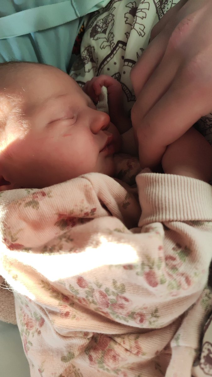 On the 3rd of October at 13:45 this wonderful little champion decided to enter the world.

Welcome, Signe.

Nothing makes me feel as proud and blessed as being able to call myself your father.

We love you 💖