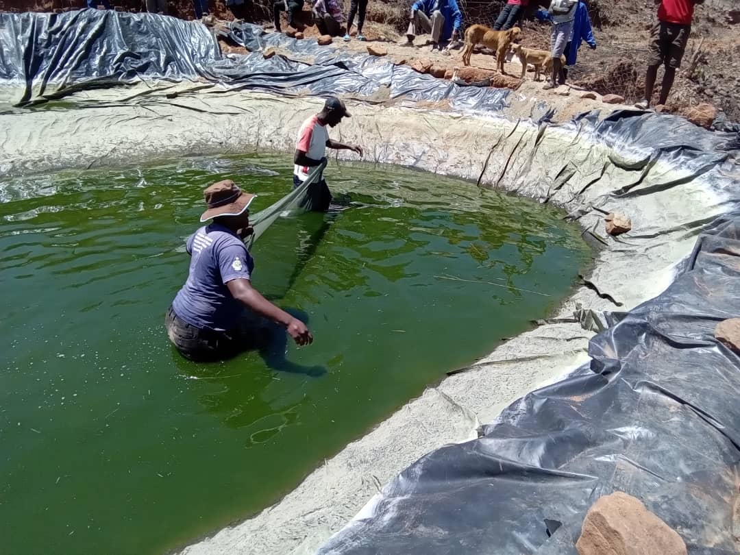 Young Achievers tweet media