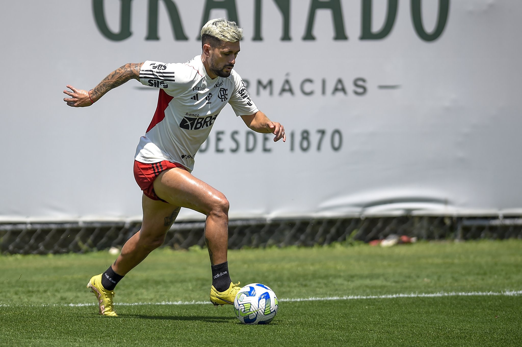 Ben01_ on X: @futebol_info porra, pensei q iam desviar só pro nosso timão,  mas vai ser pro flamengo também, cada dia essa uniao fica real   / X