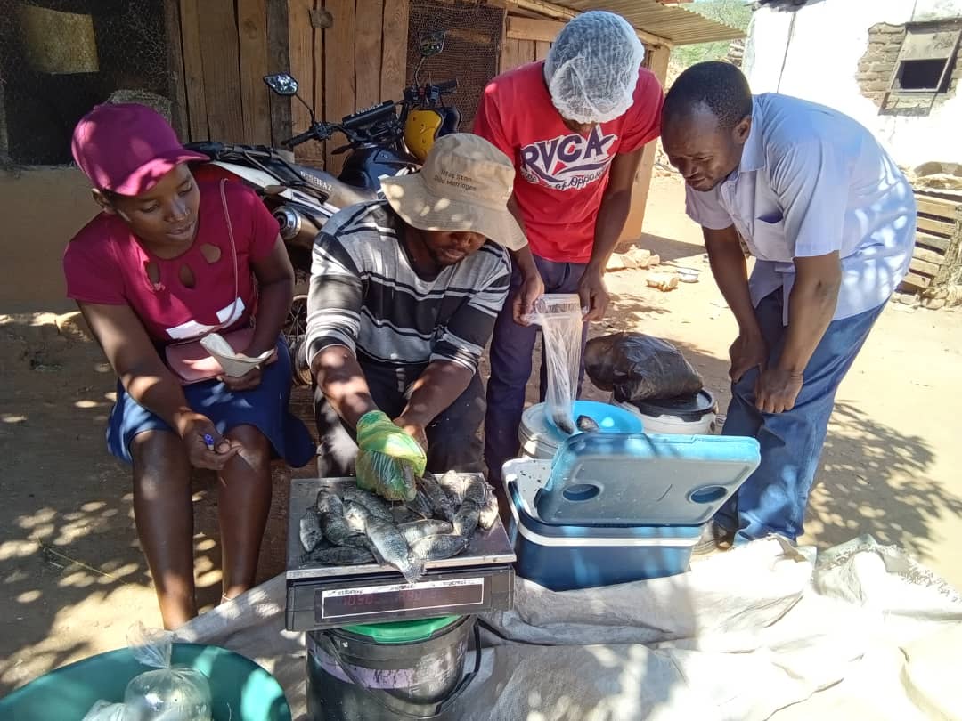 Young Achievers tweet media