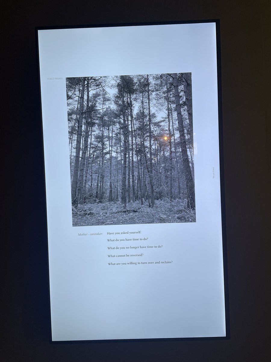 Lisa Howarth tweet media