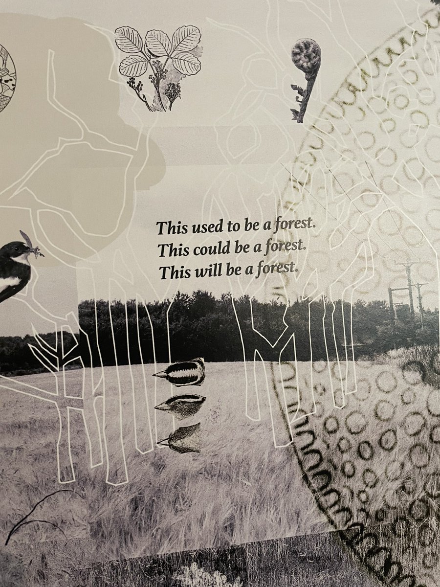 Lisa Howarth tweet media