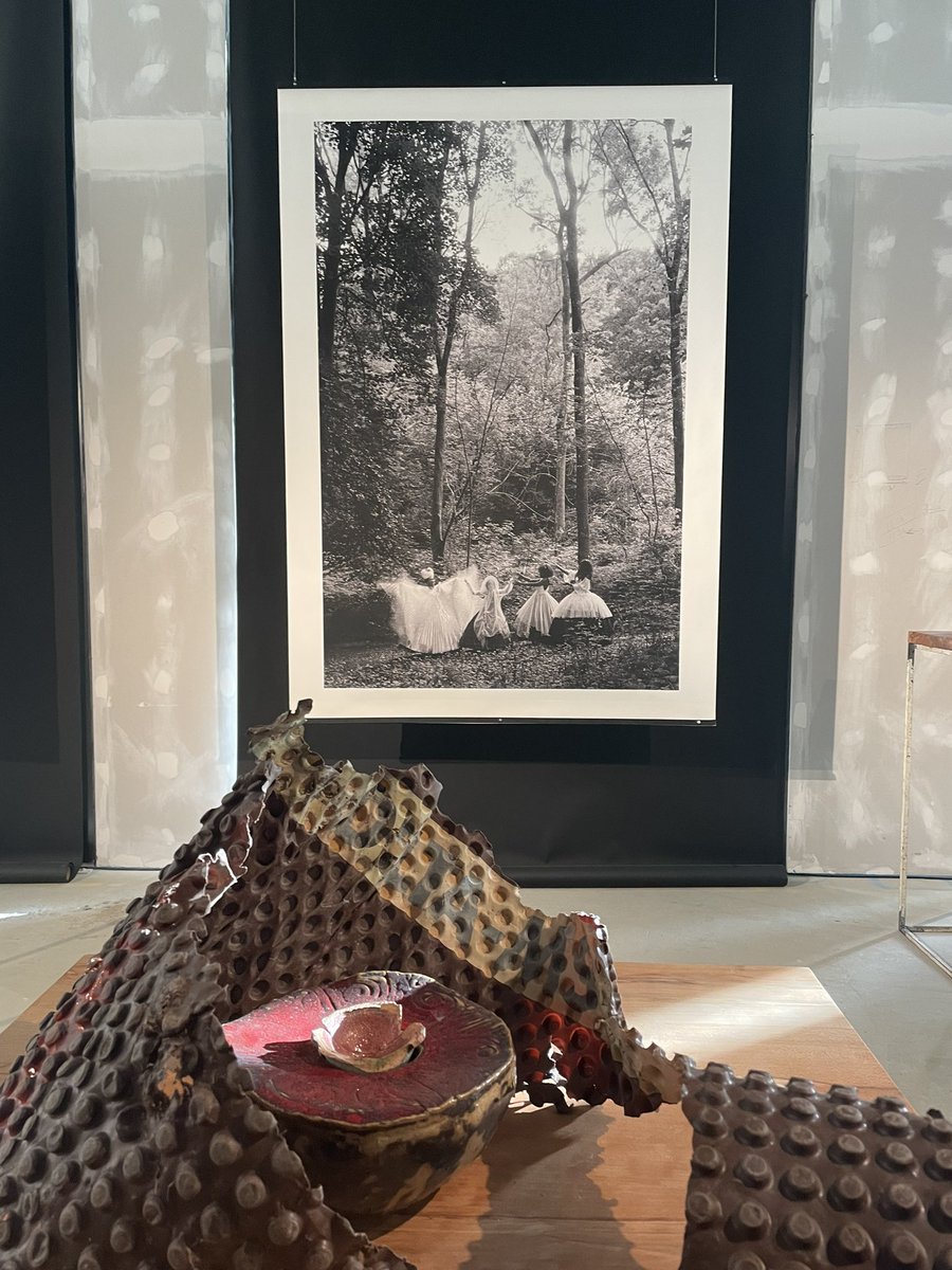 Lisa Howarth tweet media