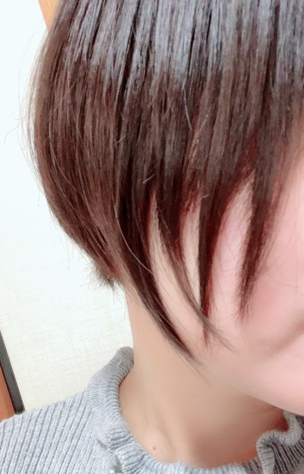 人生史上最短まで髪切ったんですが(ずっとやってみたかった)、二次元的ギザギザを作り出すことに成功して毎日ゴキゲンなのです。 https://t.co/GBlFS0lacR