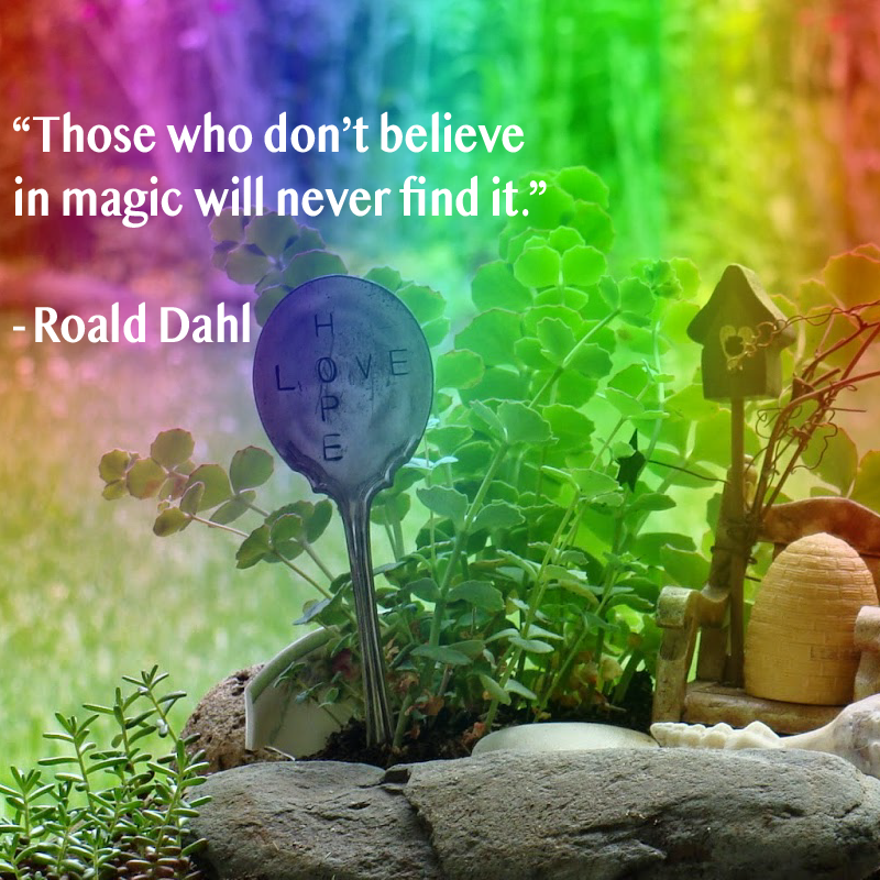 deespillstea's tweet photo. Do you believe in magic? #fairytales #rsj108 @carenroblin @GraceKa55665341 @stephnavarrocha https://t.co/oVkkh10Eki