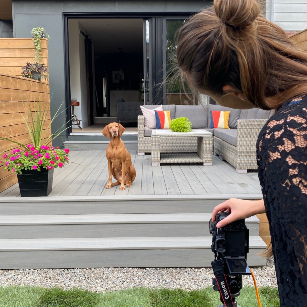 fluxdevca's tweet image. What an incredible photo shoot last week! This final stage of a project is always such a thrill — even more so when we have a friendly little helper who&apos;s camera-ready. 

We can&apos;t wait to show you the final captures. 

#photoshoot #photosession #homerenovation #torontobuilders