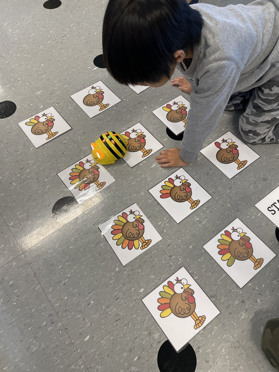 mrsbowesteaches's tweet image. Teaching our primaries to code with @beebotslearning Students had to code the bee bot to the turkey with the correct number of feathers. #mathintech #coding #counting