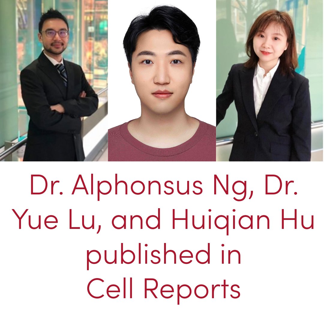 PHCEUutah's tweet photo. Congratulations to Dr. Alphonsus Ng (Biomedical Engineering), Huiqian Hu  (Molecular Pharmacetuics Ph.D student), and Dr. Yue Lu (Molecular  Pharmaceutics) for their new paper in Cell Reports! @DigiPharmaLab 
https://t.co/1vfgN2RMkQ https://t.co/3PHYHpz510