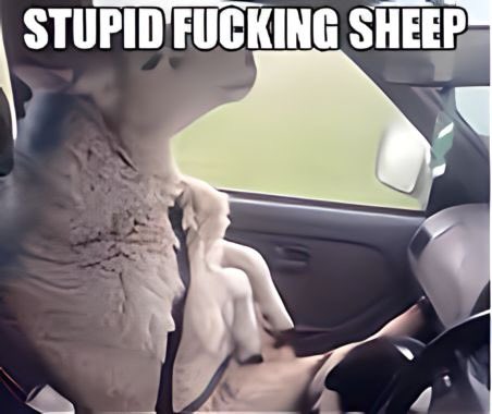 Matt REAL❄️AF🤘😝🤘 tweet media