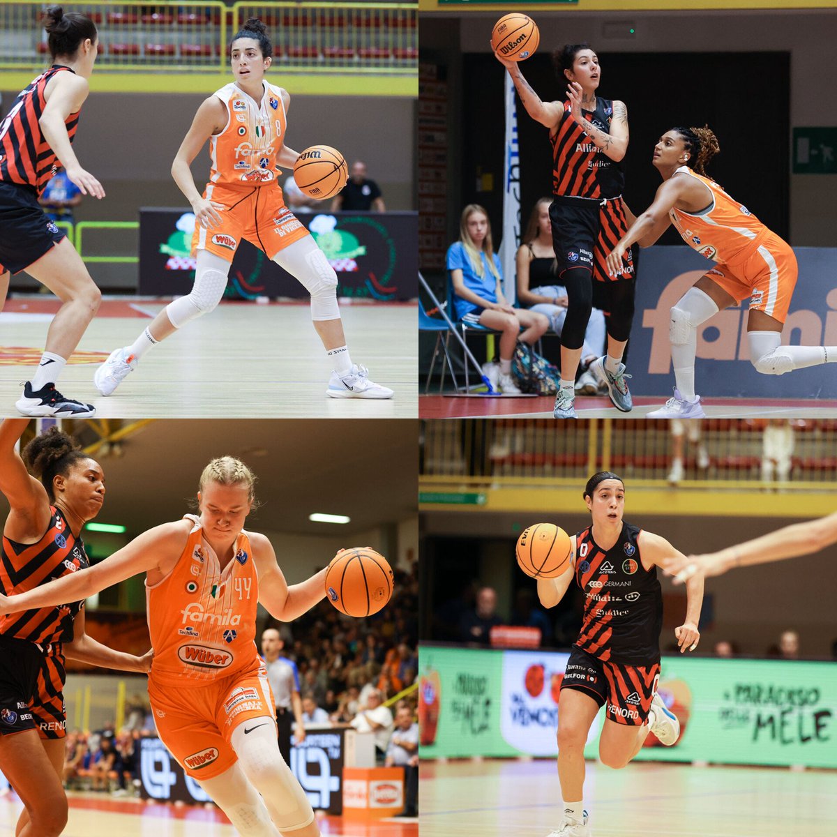 Basket tras-Parente tweet media