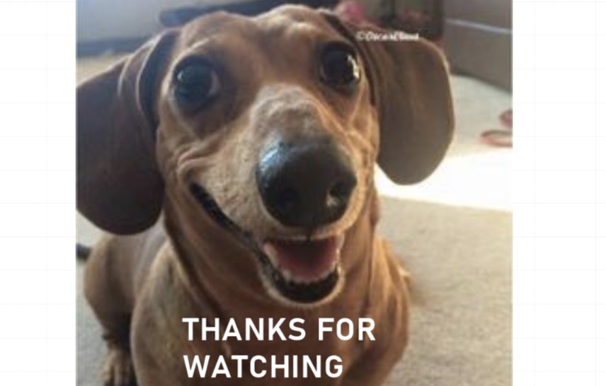 The last side of my teen's PowerPoint presentation that she's just delivered to us, outlining her birthday wish list. Ending on a touch of humour. Complete with links, sides, pictures &amp; concise instructions. 

I'm impressed 😄
#chipofftheoldblock