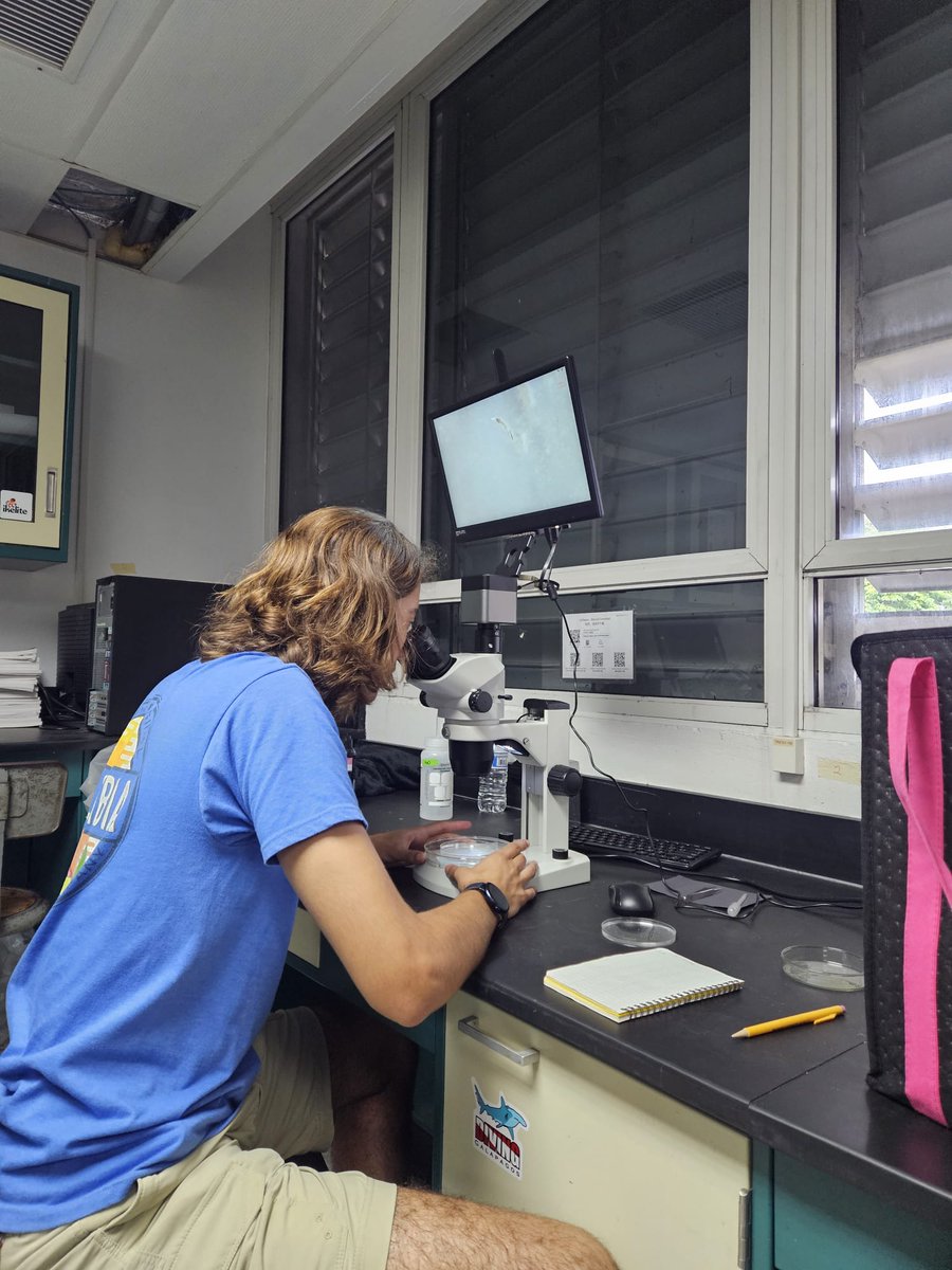 Luquillo LTER tweet media