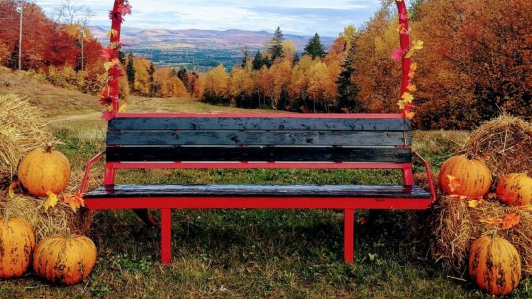 Experience the lovely colours of Fall @CrabbeMTN with their Fall Festival of Colours!🍂🍁🌻⛅ 📅Saturday, Oct 7- Sunday, Oct 8, 11am - 4pm. Enjoy self-guided hikes, guided mountain bike rides, and shuttle rides. ow.ly/QxkA50PQr4L