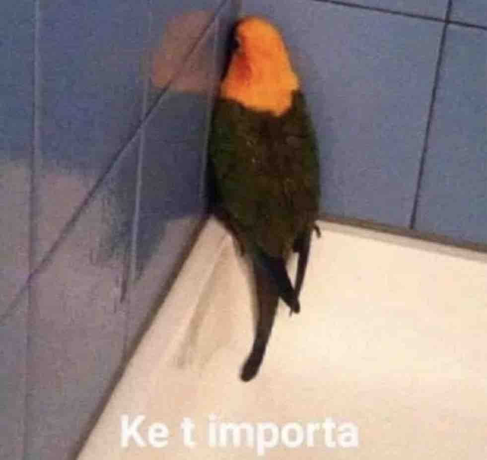 Cada vez que me preguntan si ya aprendi a manejar.
