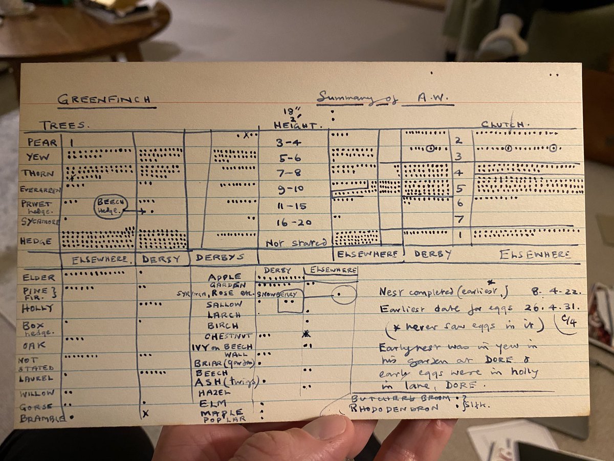 Dan Brown tweet media